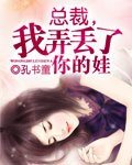 總裁,我弄丟了你的娃