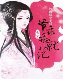 傲娇小王妃：爷，乖乖就范