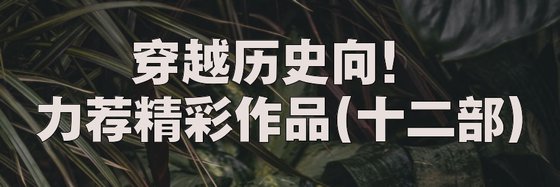 穿越历史向！力荐精彩作品(十二部)